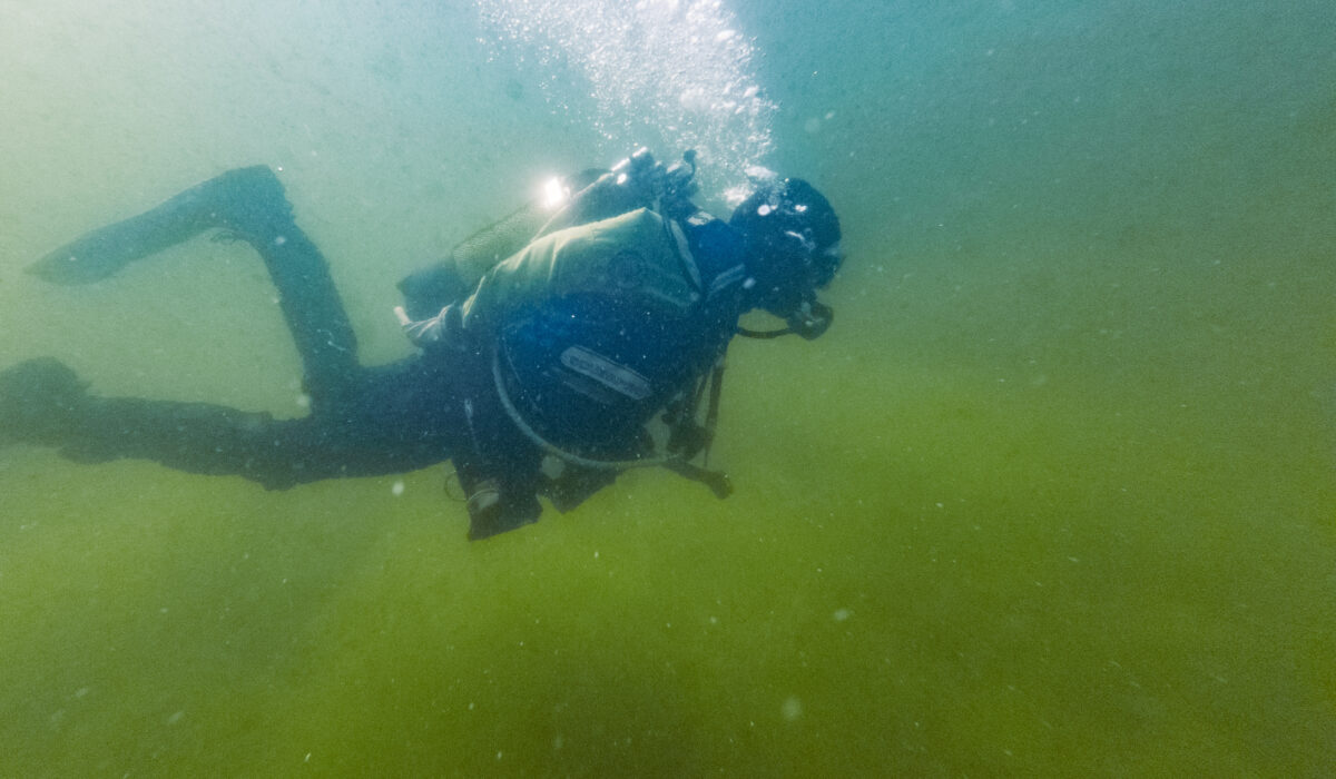 Unterwasseraufnahme im Jägerweiher Altrip